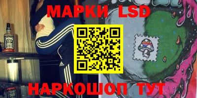 гидропоника Можга