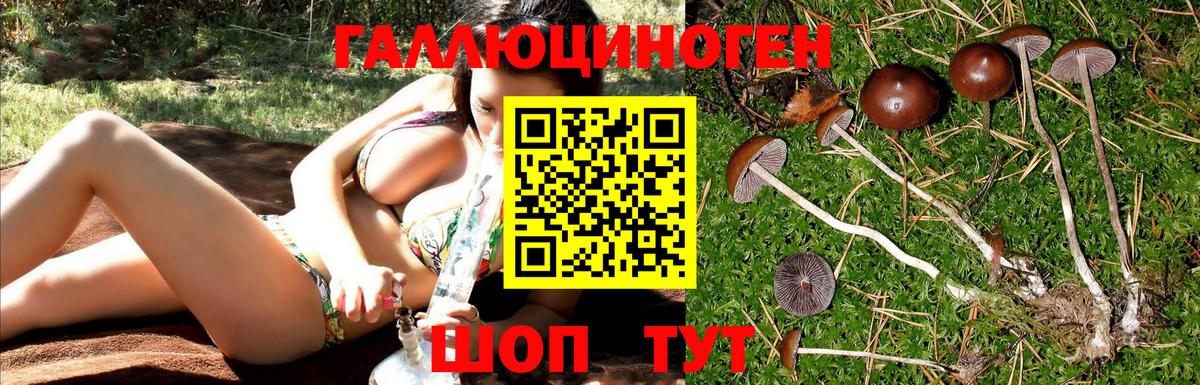 Галлюциногенные грибы MAGIC MUSHROOMS Трёхгорный