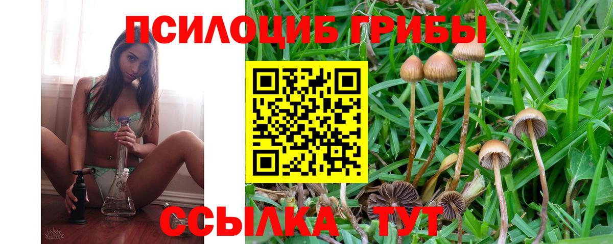 Псилоцибиновые грибы мухоморы  Вход с VPN  Трёхгорный 